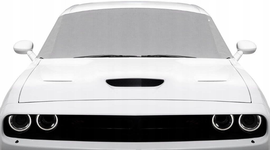 CARPASSION 100111 Windscreen cover