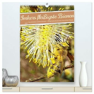 Imkers fleißigste Bienen - So arbeiten meine Immen – Originalaufnahmen aus erster Hand (hochwertiger Premium Wandkalender 2027 DIN A2 hoch),