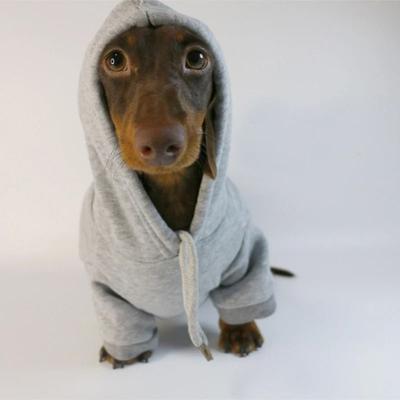 Uplifted Finds Cool Dog Sausage Pullover Hoodie grey xl