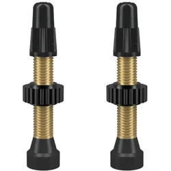 WTB TCS Presta Messing Ventile Set 2 Stk. | 46 mm