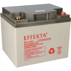 Effekta BTL 12-45L AGM Akku 12V 45Ah – passend für USV, Notstrom & Sicherheitstechnik