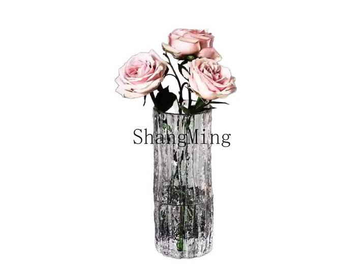 Vase décoratif DSA pour salon, arrangement floral, verre transparent épaissi, luxe léger, vase hydroponique créatif