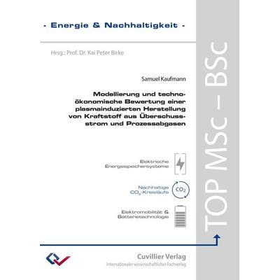 Modellierung und techno-ökonomische Bewertung einer plasmainduzierten Herstellung von Kraftstoff aus Überschussstrom und Prozessabgasen, Taschenbuch