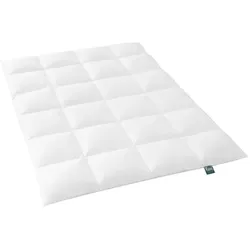 f.a.n. Frankenstolz Bettdecke Daunen Kassettenbett Alaska 155x220 cm Medium