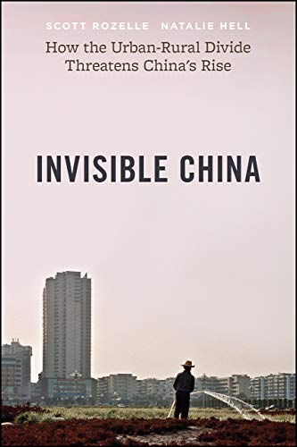 Scott Rozelle - Invisible China: How the Urban-Rural Divide Threatens China's Rise - Preis vom 11.10.2026 15:43:13 h