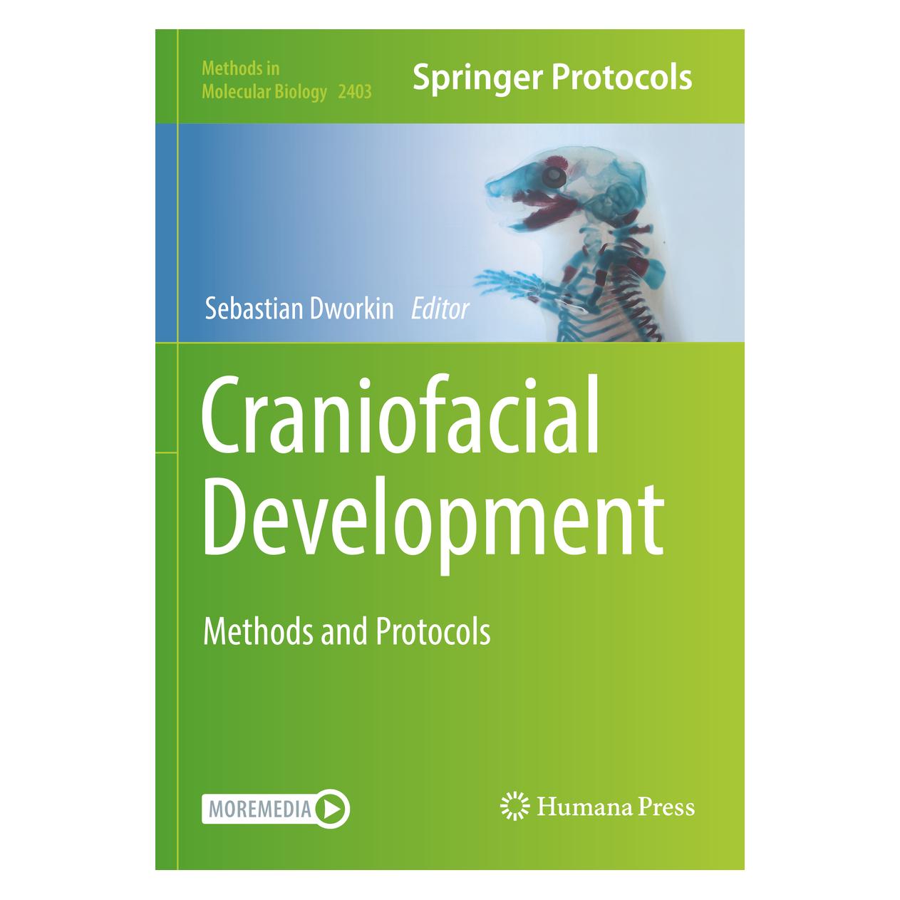 Springer Craniofacial Development (Englisch, Softcover, Sebastian Dworkin) (56909262)