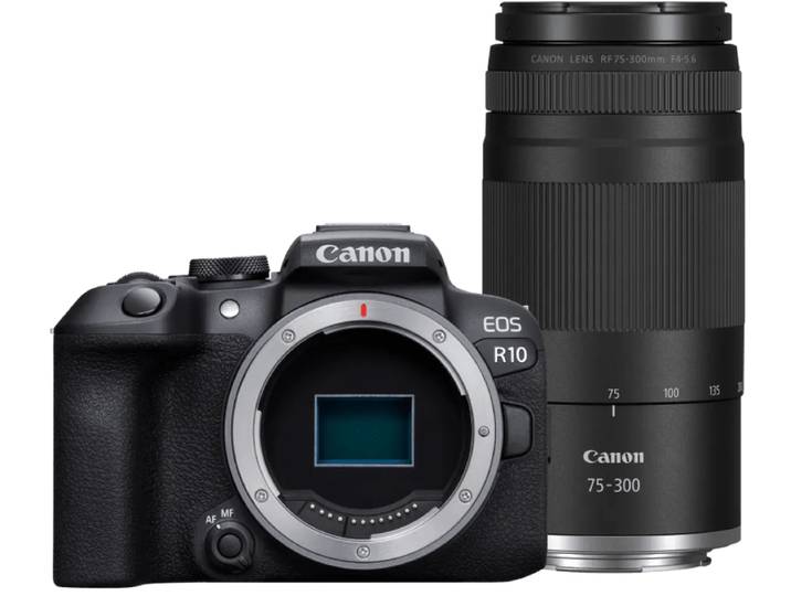Canon EOS R10 + RF 100-400mm f/5.6-8 IS USM