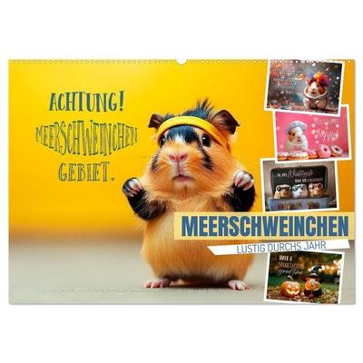 Meerschweinchen LUSTIG DURCHS JAHR (Wandkalender 2026 DIN A2 quer), CALVENDO Monatskalender