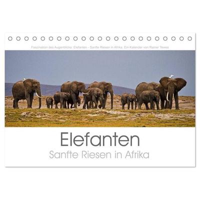 Elefanten - Sanfte Riesen in Afrika (Tischkalender 2027 DIN A5 quer), CALVENDO Monatskalender