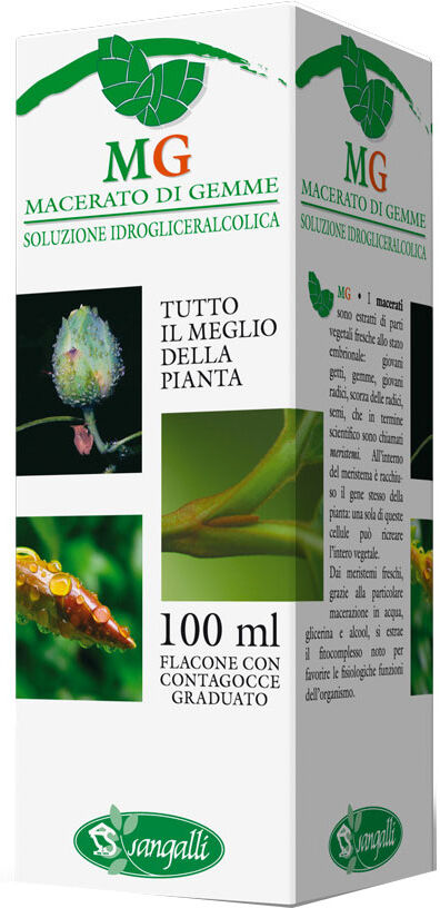 Sangalli Betulla 100ml Mg