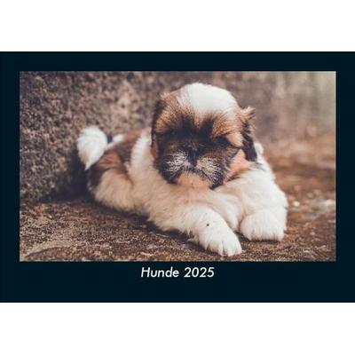 Hunde 2025 Fotokalender DIN A5