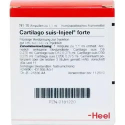 CARTILAGO suis Injeel forte Ampullen 10 St Ampullen