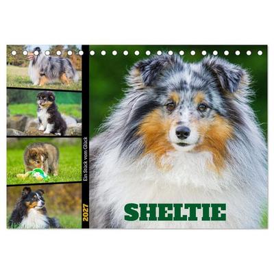 Sheltie - Ein Stück vom Glück (Tischkalender 2027 DIN A5 quer), CALVENDO Monatskalender