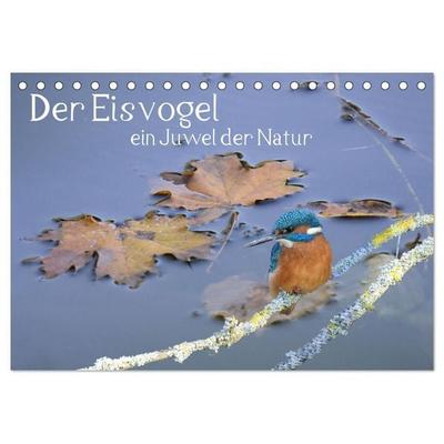 Der Eisvogel, ein Juwel der Natur (Tischkalender 2027 DIN A5 quer), CALVENDO Monatskalender