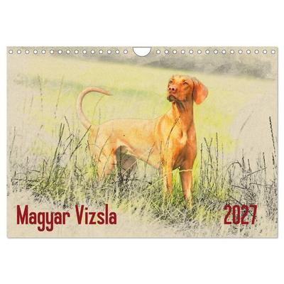Magyar Vizsla 2027 (Wandkalender 2027 DIN A4 quer), CALVENDO Monatskalender