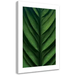 WANDBILD grünes blatt makro