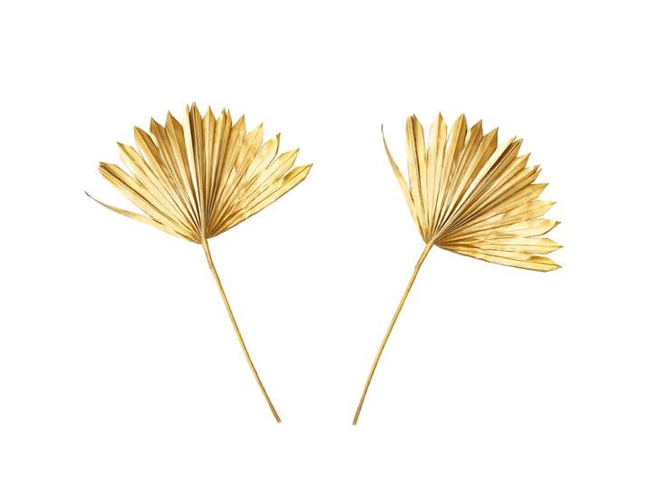 2er-Set dekorative getrocknete Palmenblätter, gold, 40 x 45 cm