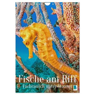 Farbrausch unter Wasser: Fische am Riff (Wandkalender 2027 DIN A4 hoch), CALVENDO Monatskalender