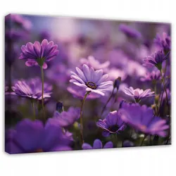 LEINWANDBILD Blumen Wiese Lila 120x80 cm