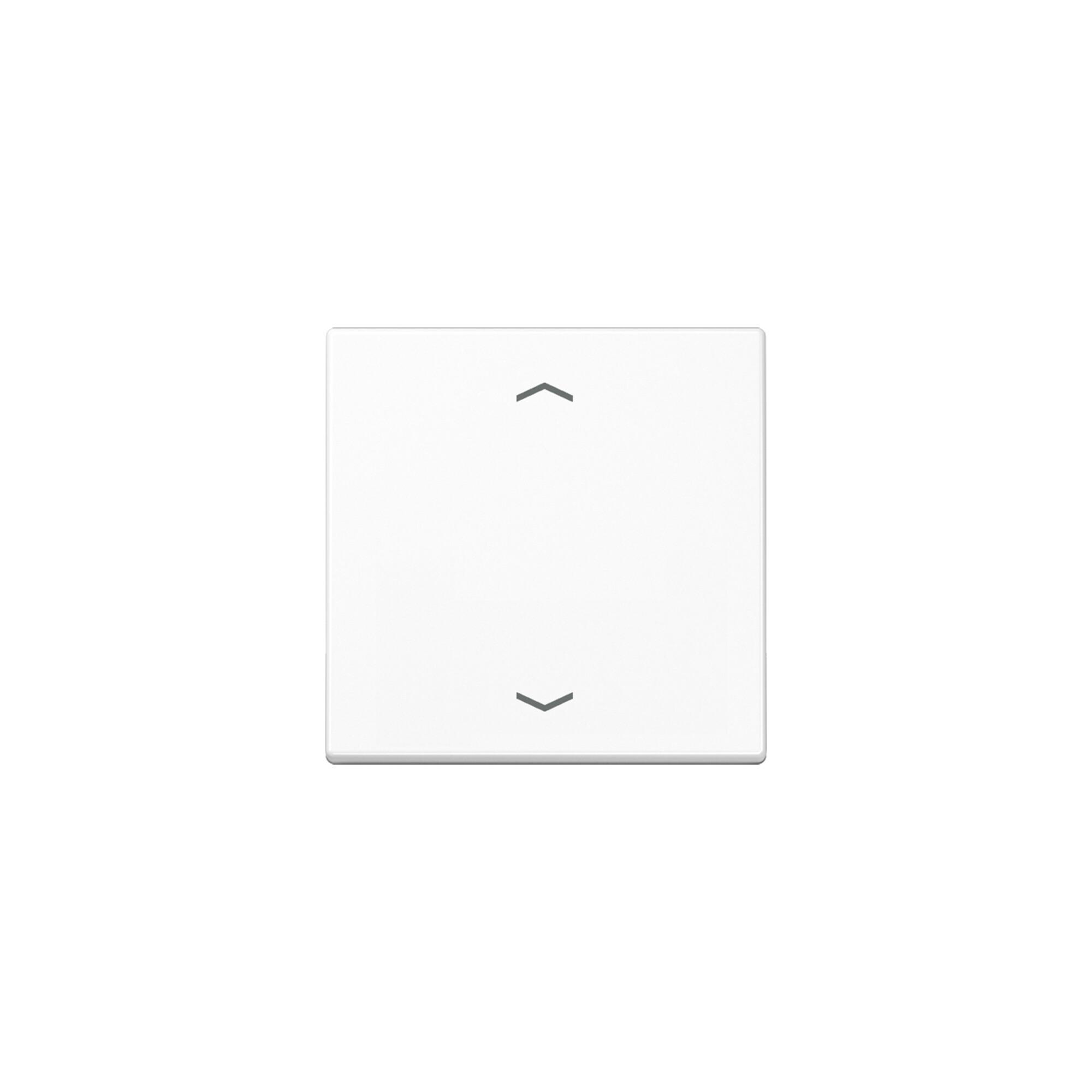 Jung Steuertaste Standard Symbole Pfeile A 1700 P WW (A1700PWW)