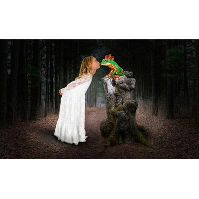 Fototapete PAPERMOON "Prinzessin küsst den Frosch", bunt, B:3m L:2,23m, Vlies, Tapeten