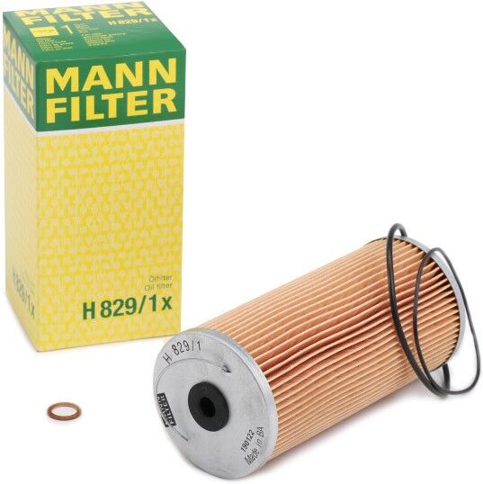 MANN-FILTER H 829/1 x Oil filter