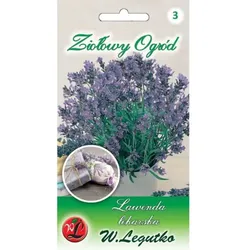 Echter Lavendel