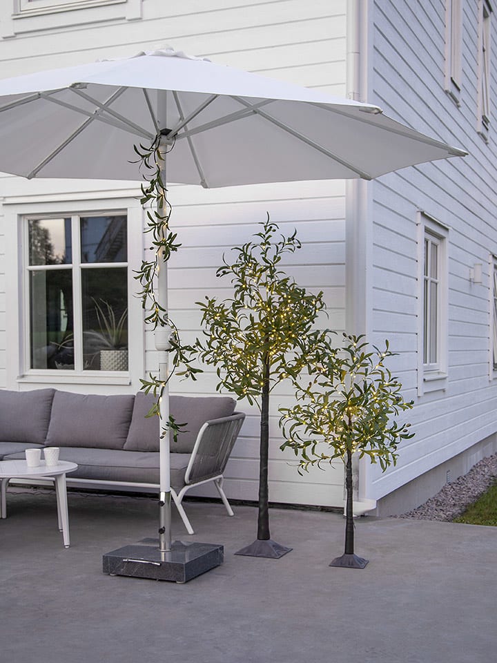 STAR Trading LED-Bäumchen "Olivec" in Grün - (L)120 cm - onesize