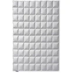 Kauffmann Eiderdaunendecke Exclusive medium - 155x220cm