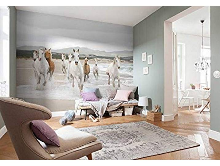 Photo Murale\, 368cm X 254cm\, Chevaux Blanc