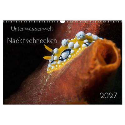 Unterwasserwelt Nacktschnecken (Wandkalender 2027 DIN A3 quer), CALVENDO Monatskalender