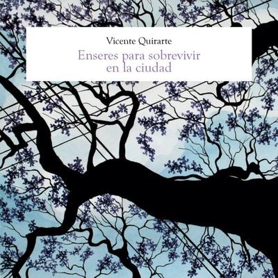 Enseres para sobrevivir en la ciudad - Vicente Quirarte, Audio, 9789178654499