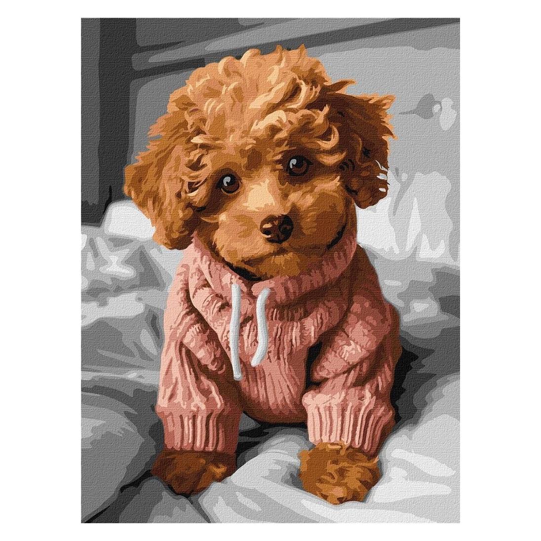 Ideyka Malen nach Zahlen - Magic Maltipoo 30x40cm (46185957)