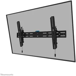 Neomounts TV-Wandhalterung