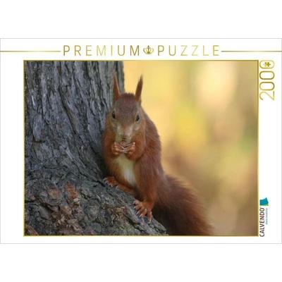 CALVENDO Puzzle Eichhörnchen | 2000 Teile Lege-Größe 90 × 67 cm Foto-Puzzle für glückliche Stunden, von , Calvendo Puzzle