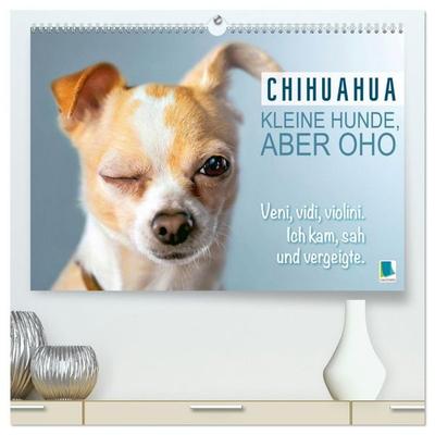 Chihuahua: Kleine Hunde, aber oho (hochwertiger Premium Wandkalender 2027 DIN A2 quer), Kunstdruck in Hochglanz