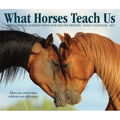 What Horses Teach Us 2027 5.4 X 6.2 Box Calendar
