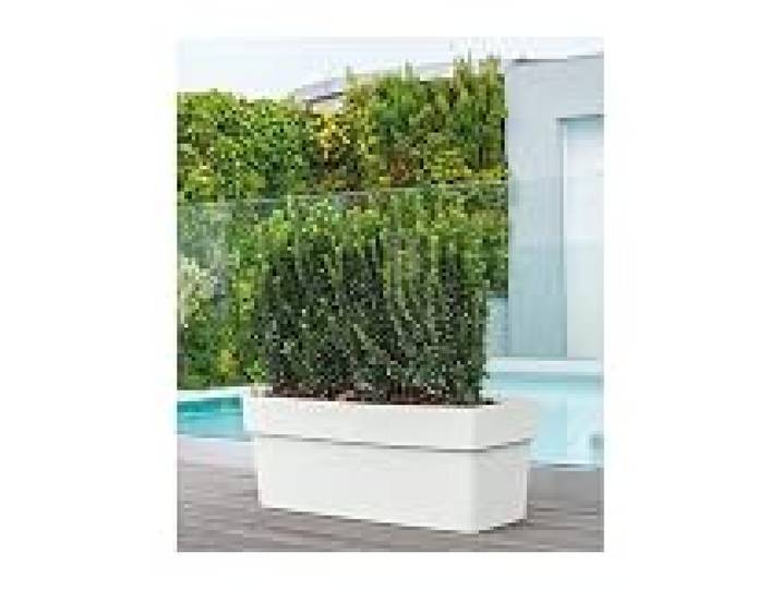 Deroma Pot Standard