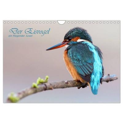 Der Eisvogel (Wandkalender 2027 DIN A4 quer), CALVENDO Monatskalender