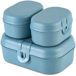 Koziol Pascal Ready Mini Lunchbox Set 3 teilig nature flower blue
