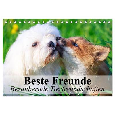 Beste Freunde - Bezaubernde Tierfreundschaften (Tischkalender 2026 DIN A5 quer), CALVENDO Monatskalender