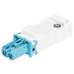 Wieland Electric 91.921.2453.0 Steckverbinder