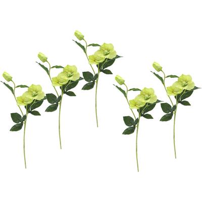 Kunstblume I.GE.A. "Christrose", grün, B:12cm H:57cm L:5cm, Obermaterial: 90% Polyester, 10% Kunststoff, Kunstpflanzen, Künstlich Seidenblumen, 5er Set