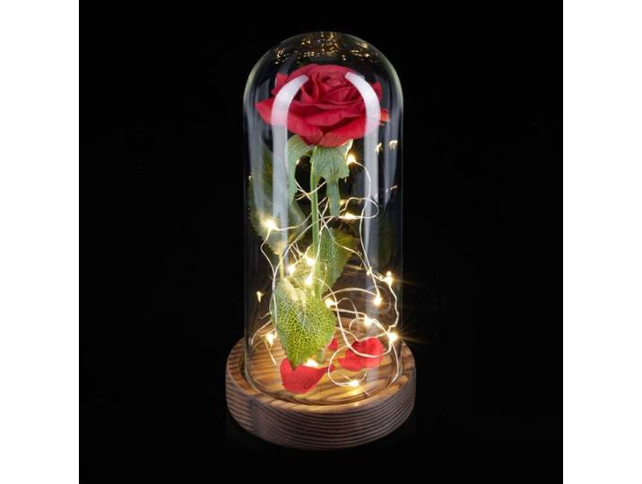 Relaxdays Ewige Rose im Glas mit Licht