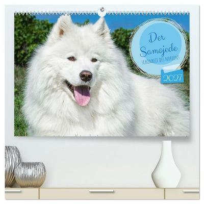 Der Samojede - Schönheit des Nordens (hochwertiger Premium Wandkalender 2027 DIN A2 quer), Kunstdruck in Hochglanz