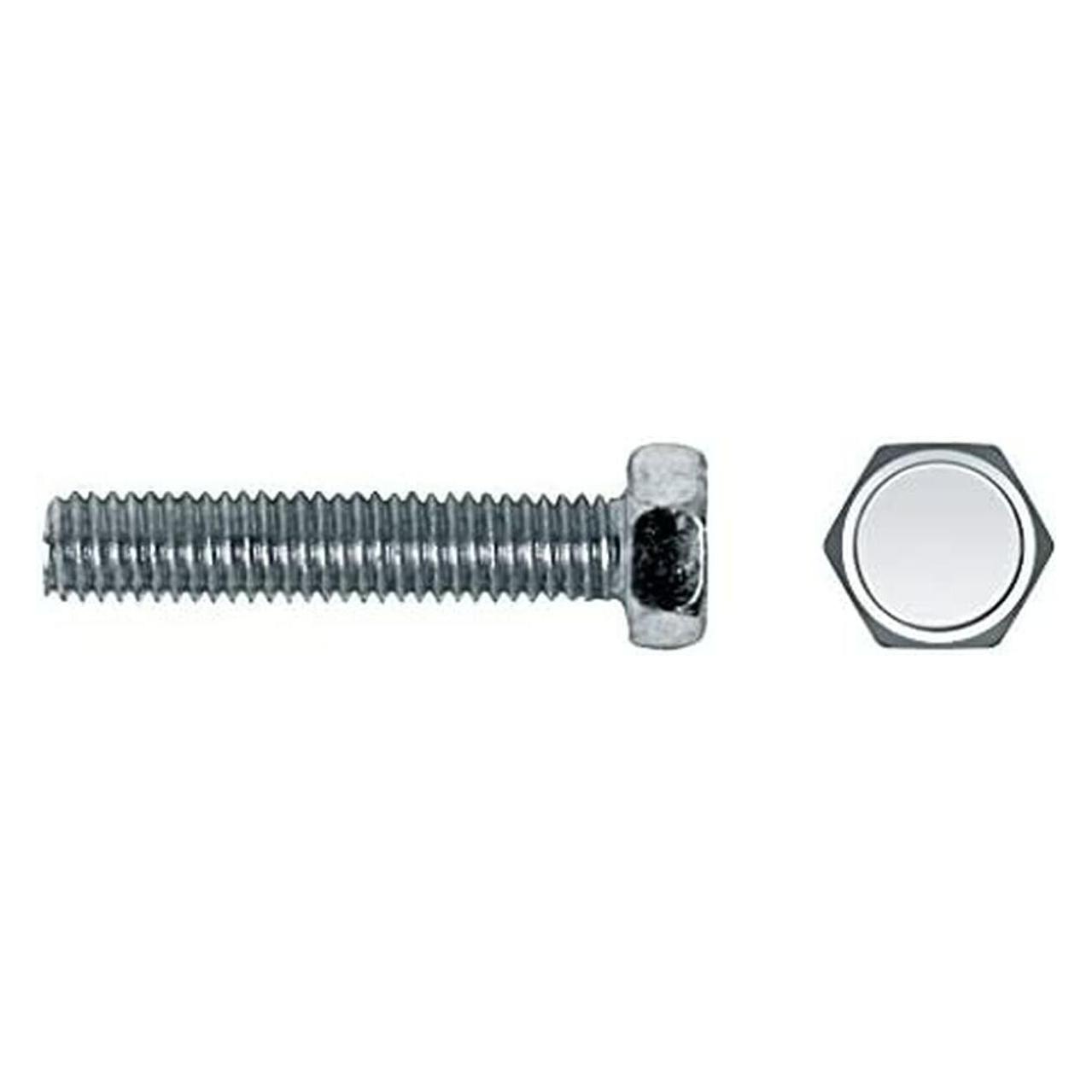 [n]fibrecare Schraubenkasten CELO 6 x 40 mm Metallschraube 250 Stück Verzinkt (45638105)
