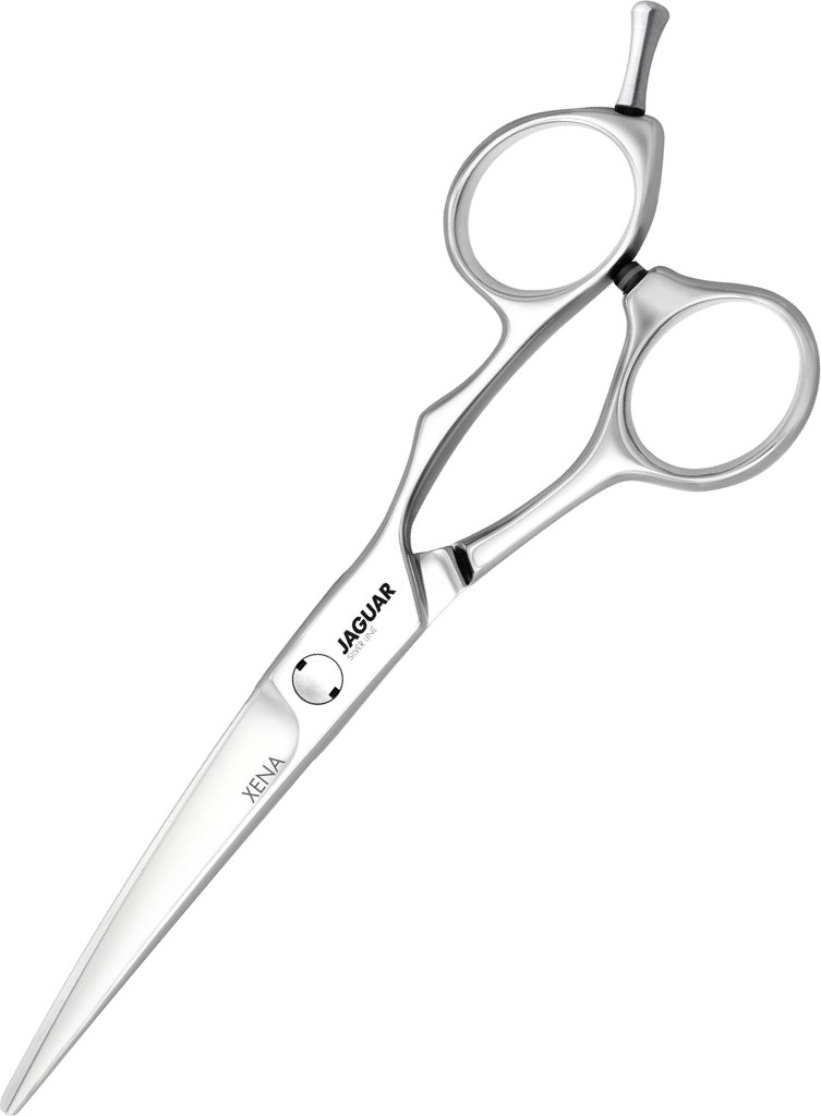 Jaguar Xena 5.5" Silver Line J-71055