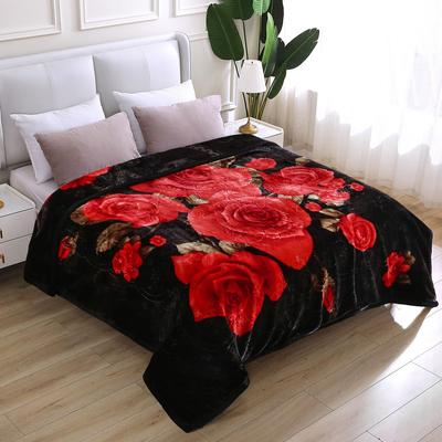 JML Raschel A&B Printed 2-ply Reversible Korean-style Plush Fleece Blanket