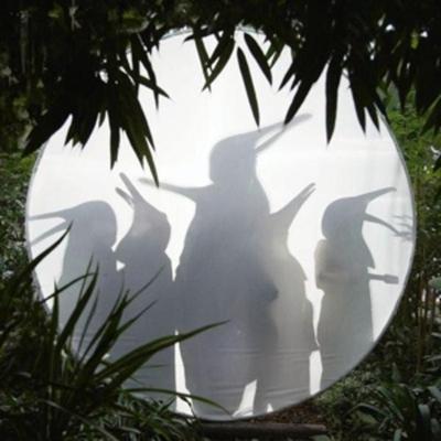 Rain Before Seven (Limited Petrol-Green) - Penguin Cafe, Vinyl