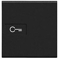 Legrand Wippe Living&Light Anthrazit L4916M2F 1 St.